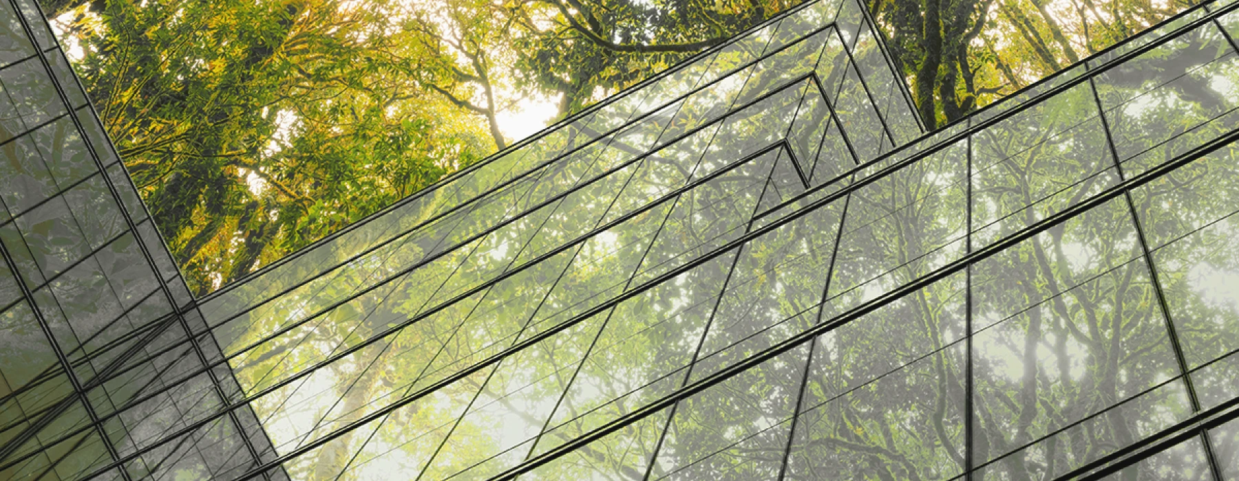 conclimate nachhaltigkeit beratung consulting nachhaltigkeitsberatung unternehmensberatung carbon management footprint