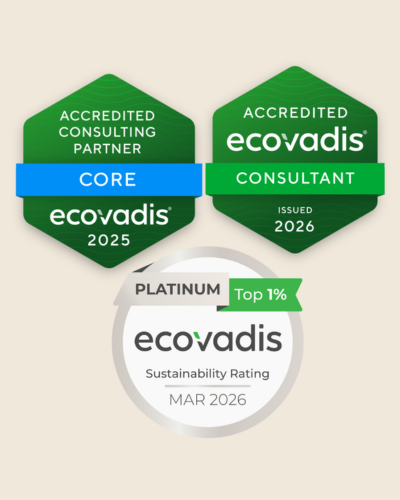 Ecovadis Beratung