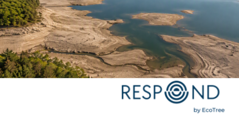 Wenn Klimarisiken Realität werden: Wie Unternehmen ihre Resilienz stärken können