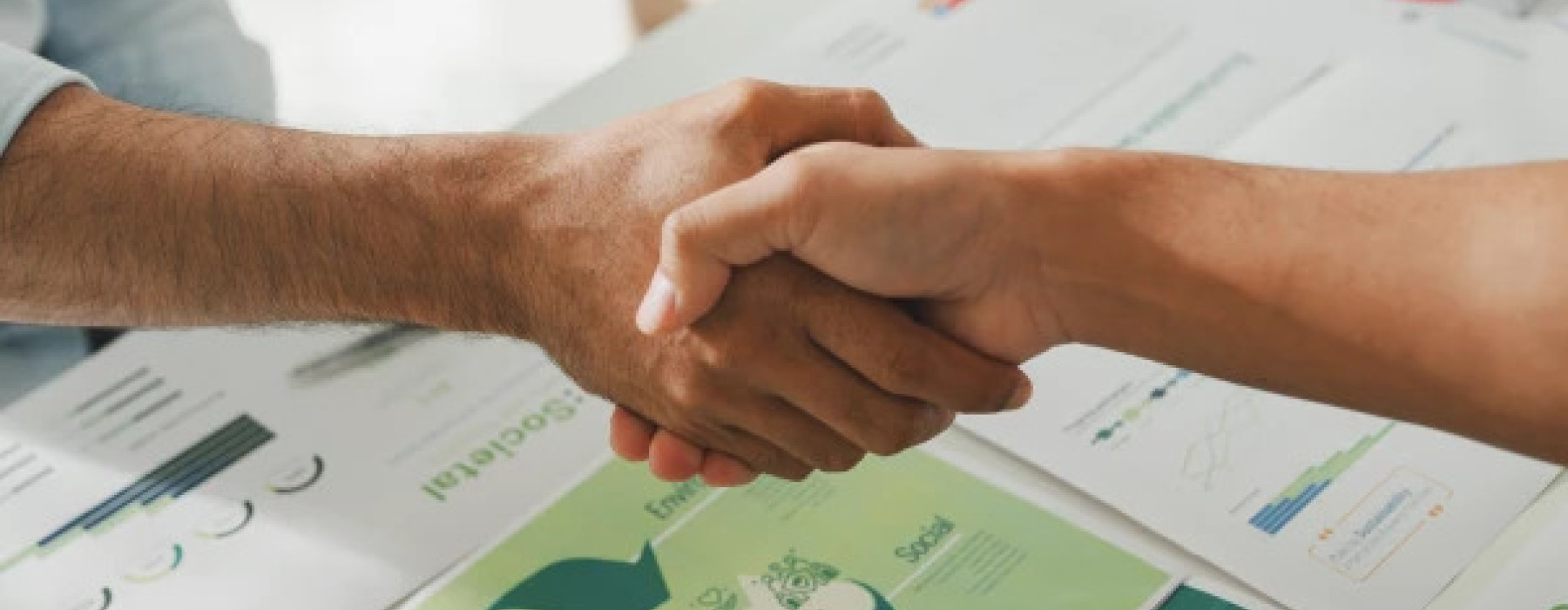 conclimate nachhaltigkeit beratung consulting nachhaltigkeitsberatung unternehmensberatung csrd stan