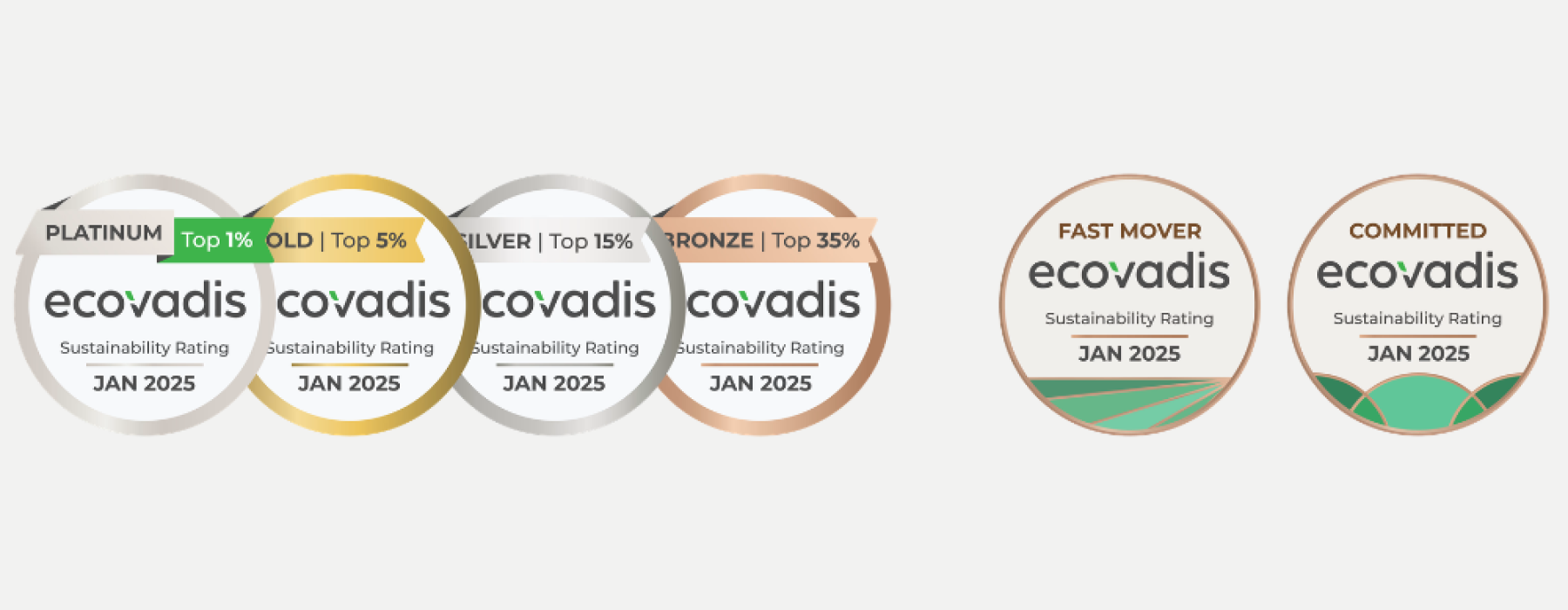 ecovadis beratung